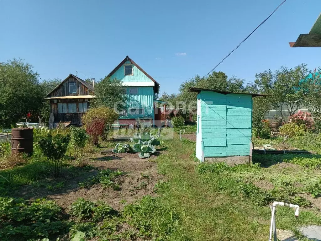 Дом в Удмуртия, Завьяловский район, 50 лет Октября СНТ 86 (17 м) - Фото 1