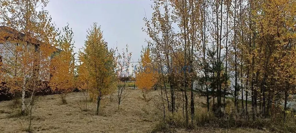 Участок в Нижегородская область, Нижний Новгород д. Новопокровское, ... - Фото 1