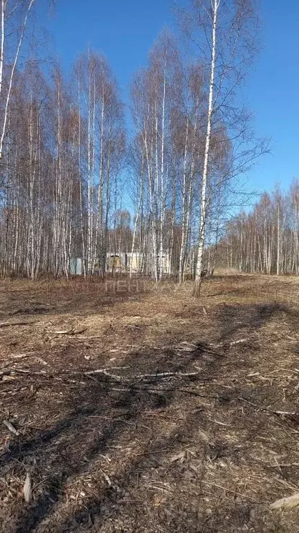Участок в Владимирская область, Владимир ул. 3-я Сорокинская (9.63 ... - Фото 0