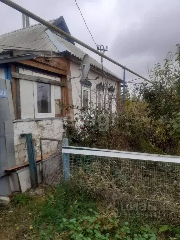 Дом в Белгородская область, Ракитянский район, Нижнепенское с/пос, с. ... - Фото 2