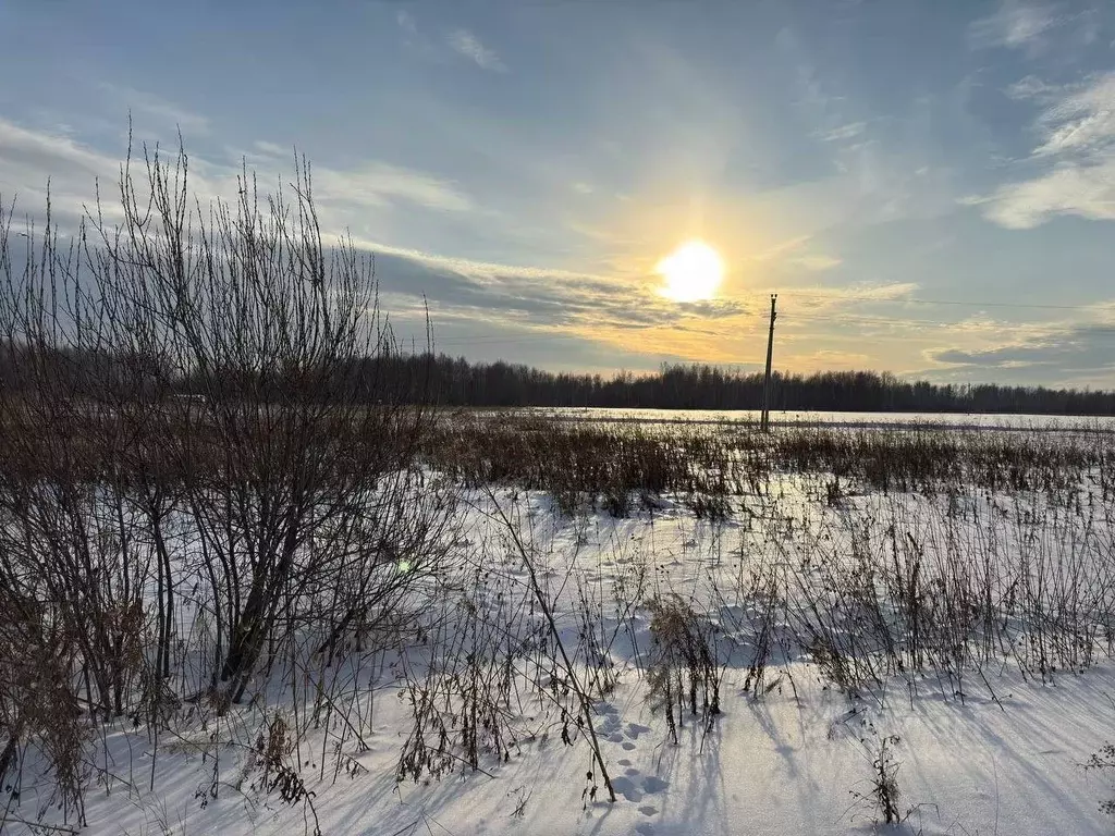 Участок в Тюменская область, Тюменский район, с. Горьковка  (5.0 сот.) - Фото 1