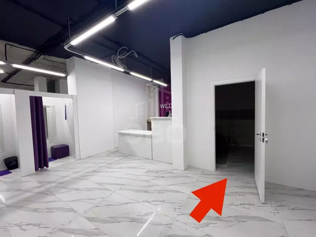 Помещение свободного назначения в Санкт-Петербург Московский просп., ... - Фото 2