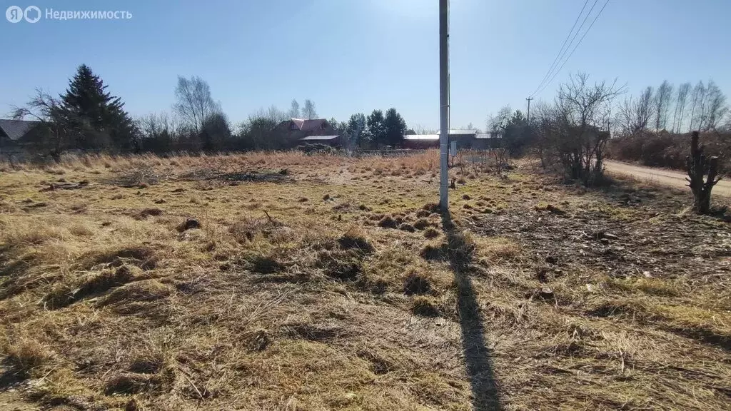 Участок в Псковская область, Печорский муниципальный округ, деревня ... - Фото 1