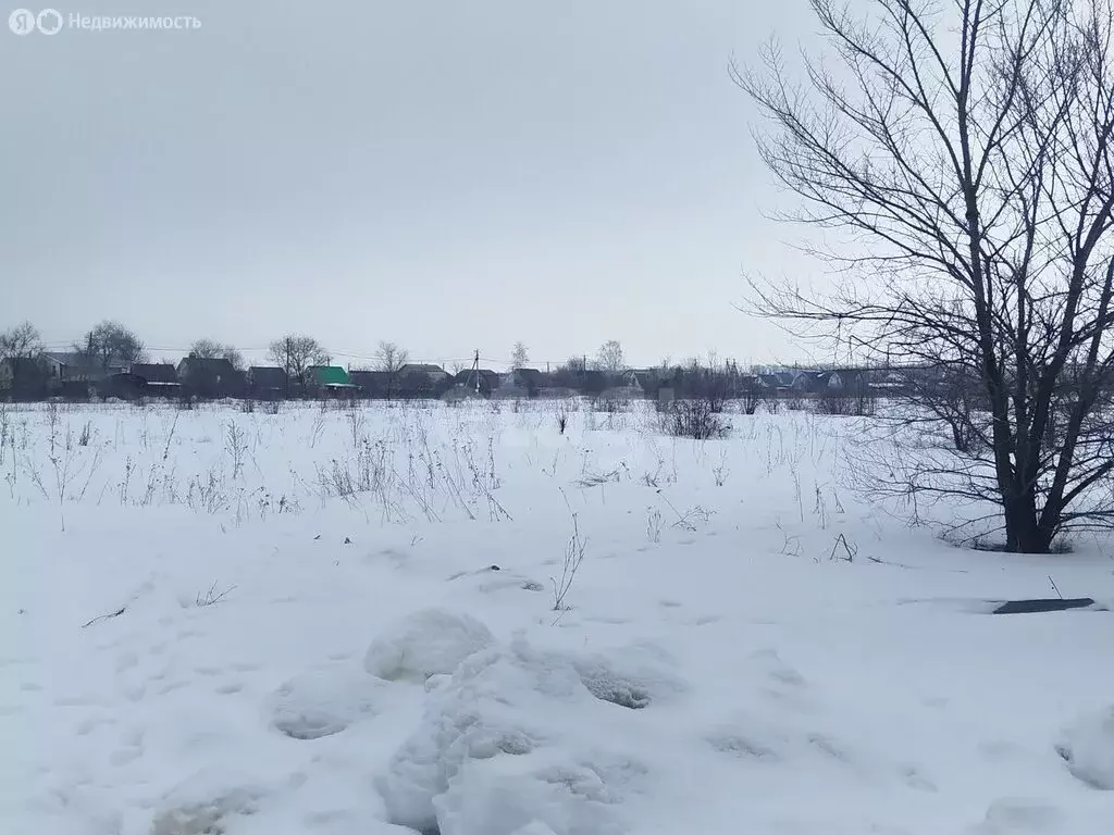 Участок в Воронеж, Левобережный район (6 м) - Фото 1