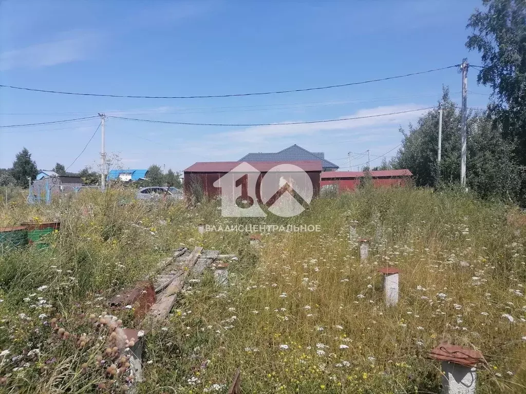 Участок в Новосибирская область, Новосибирский район, Криводановский ... - Фото 1