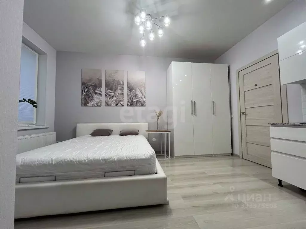 Студия Санкт-Петербург Кузнецовская ул., 58к1 (26.8 м) - Фото 1