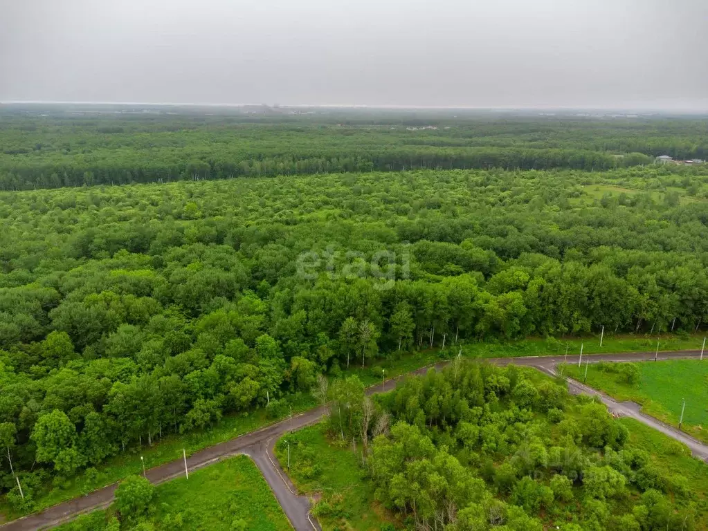 Участок в Хабаровский край, Хабаровск  (40.0 сот.) - Фото 1