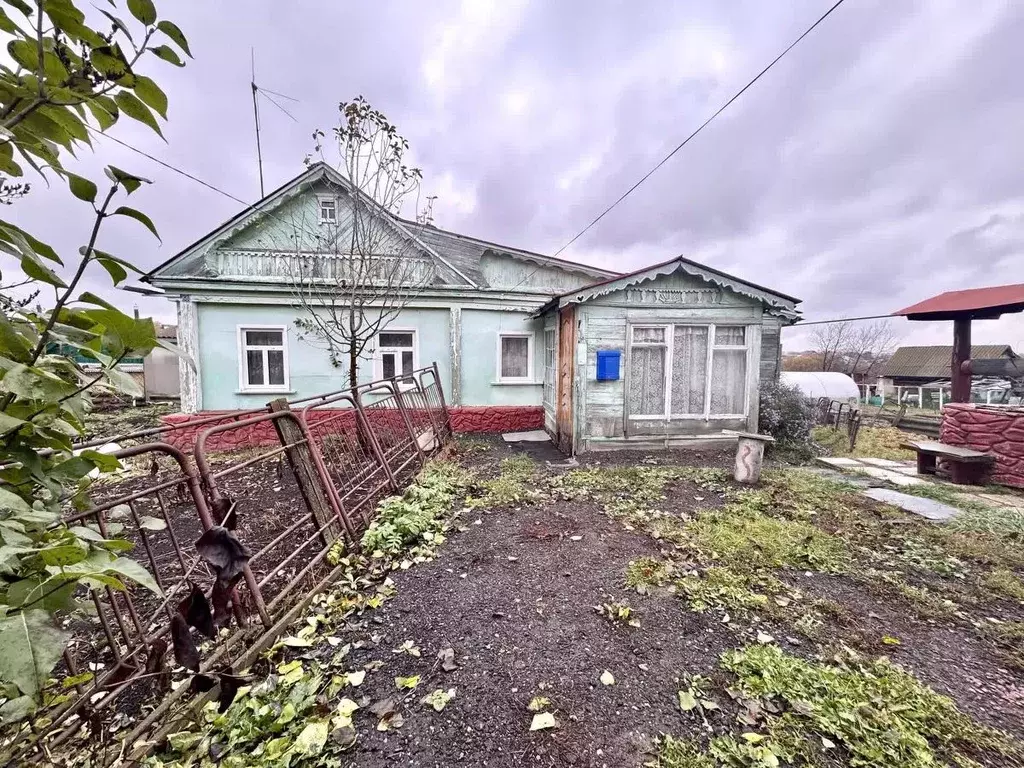 Дом в Мордовия, Рузаевский район, с. Левжа ул. Ленина, 68 (45 м) - Фото 2
