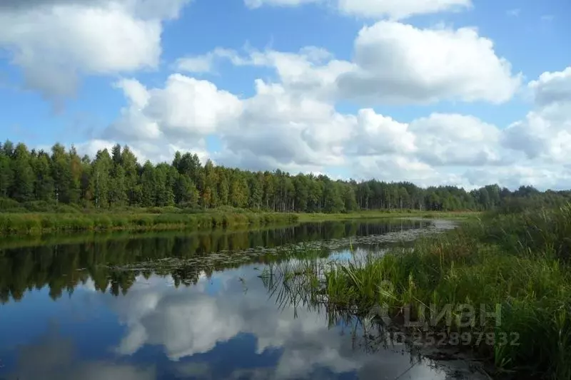 Участок в Псковская область, Гдовский район, д. Великуша  (17.0 сот.) - Фото 0