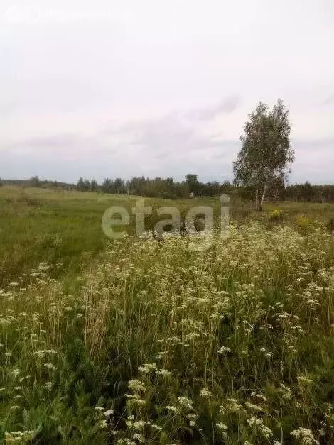 Участок в деревня Сетка, Зелёная улица (20 м) - Фото 1