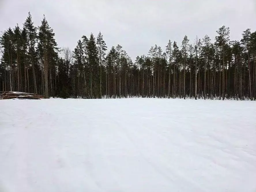 Участок в Ленинградская область, Выборгский район, пос. Поляны  (12.0 ... - Фото 1