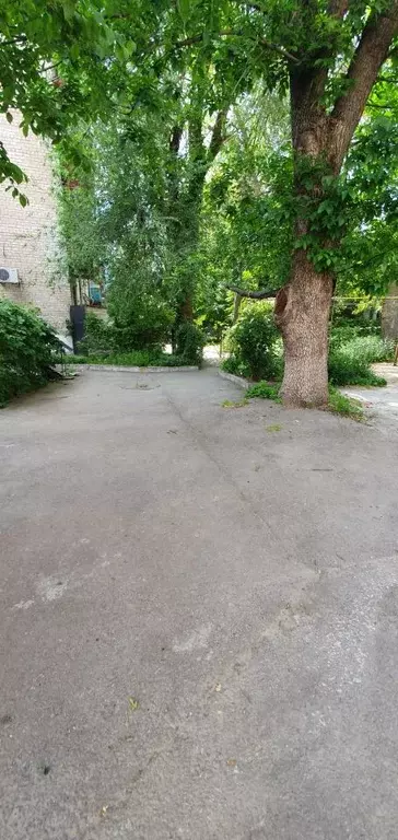 Комната Ростовская область, Ростов-на-Дону Социалистическая ул., 151 ... - Фото 2