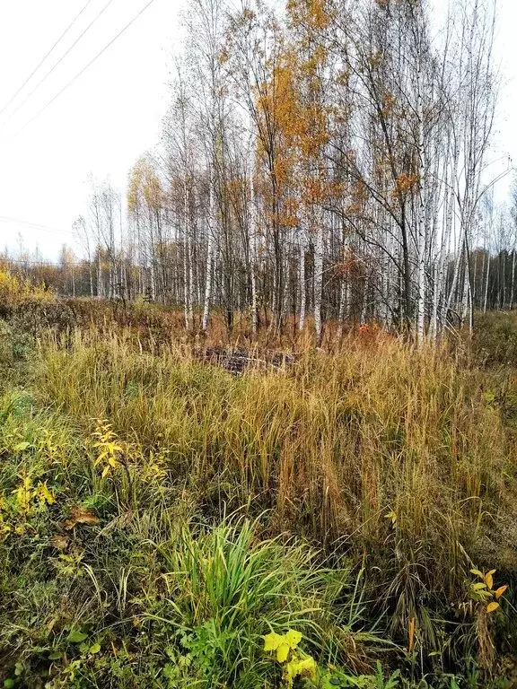 Участок в Московская область, городской округ Пушкинский, деревня ... - Фото 1