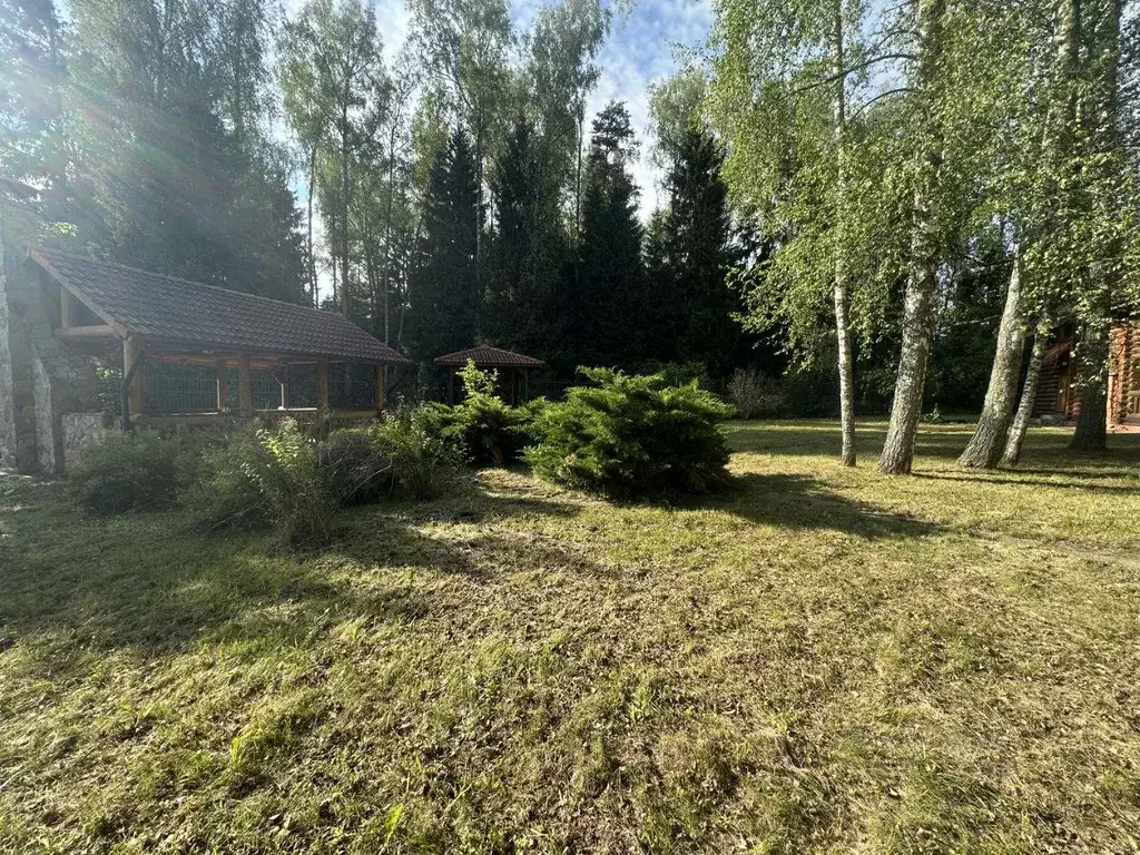 Участок, 62 сот., сельхоз (снт или днп) - Фото 1