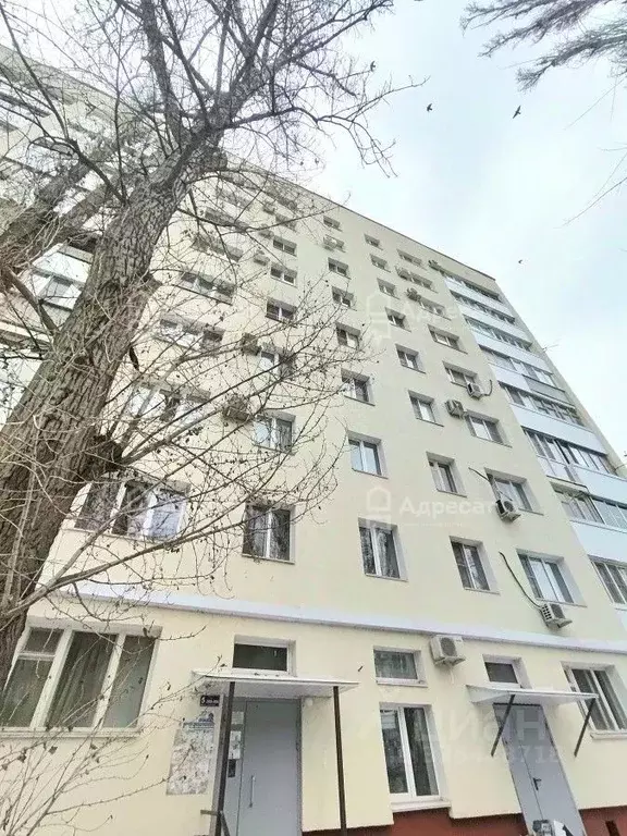 1-к кв. Волгоградская область, Волгоград ул. Маршала Еременко, 120 ... - Фото 1