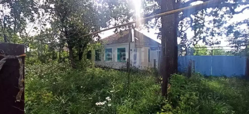 Дом в Белгородская область, Губкинский городской округ, с. Мелавое ул. ... - Фото 1