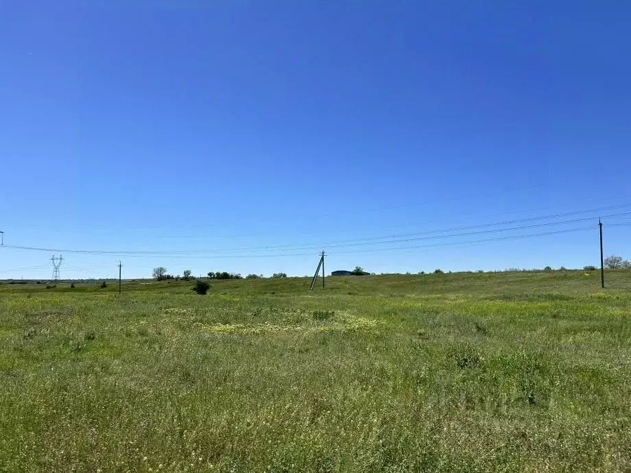 Участок в Саратовская область, с. Боковка ул. Лесная (10.0 сот.) - Фото 1