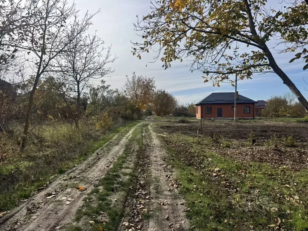 Участок в Краснодарский край, Краснодар Урожайное СНТ, ул. Алычевая ... - Фото 2