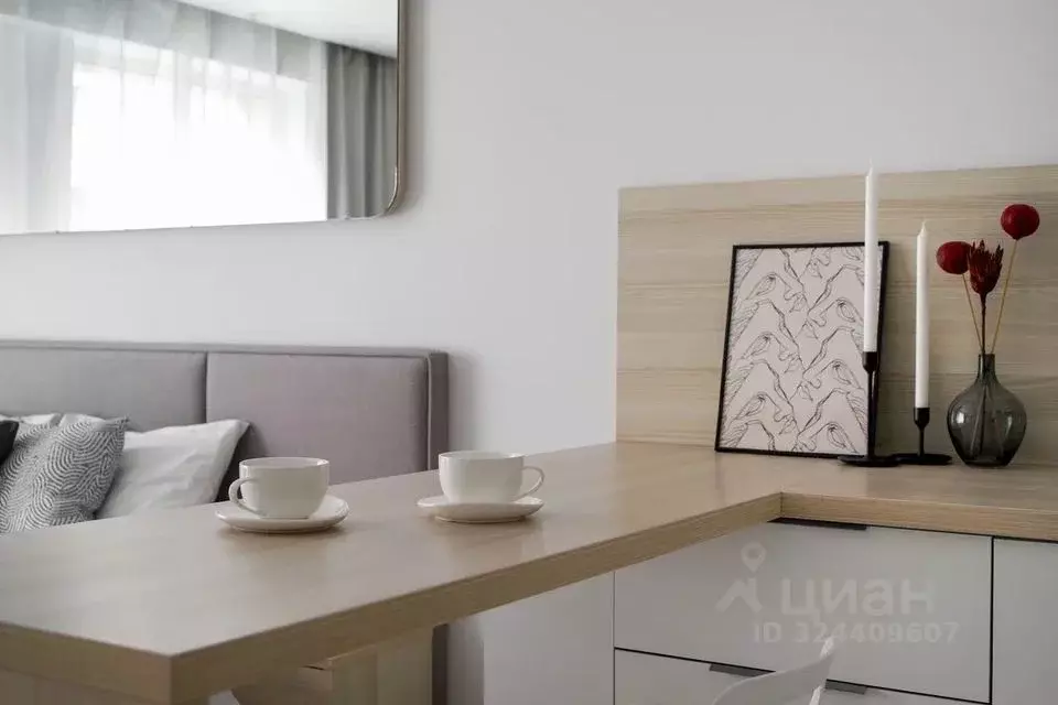 Студия Санкт-Петербург Социалистическая ул., 21 (26.5 м) - Фото 2