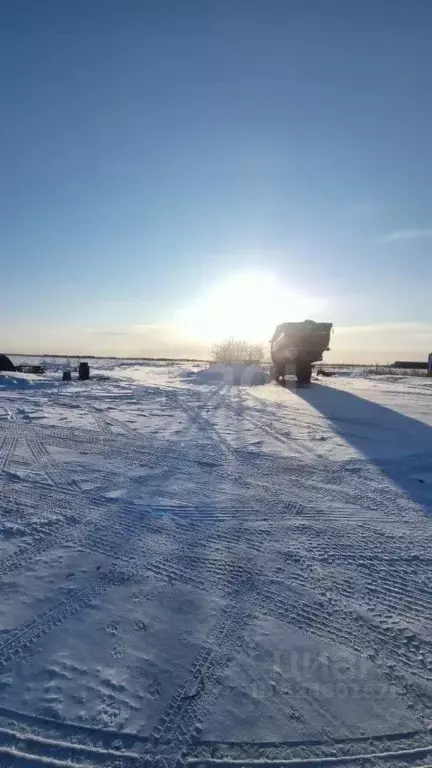 Участок в Амурская область, Благовещенский район, с. Волково  (294.9 ... - Фото 2