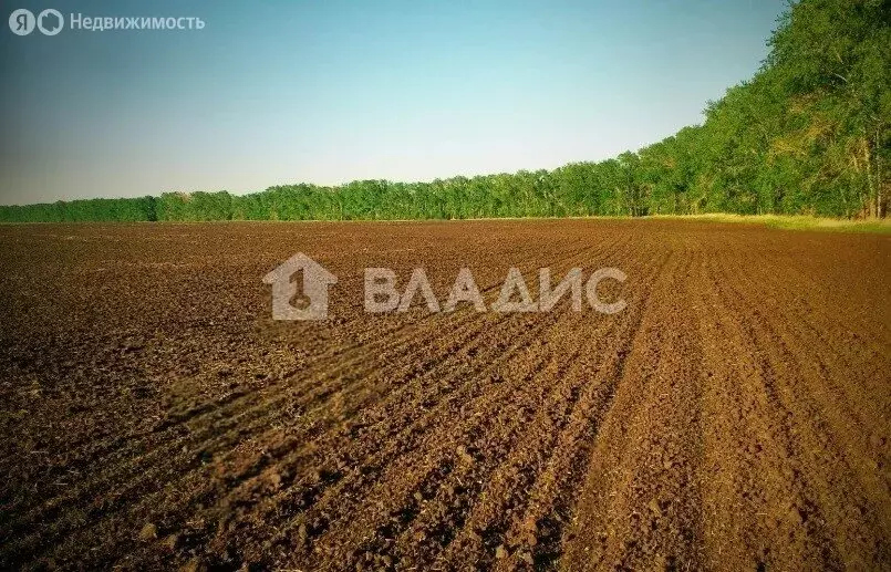 Участок в Белинский район, деревня Кузьминовка, Лесная улица (3711.44 ... - Фото 1