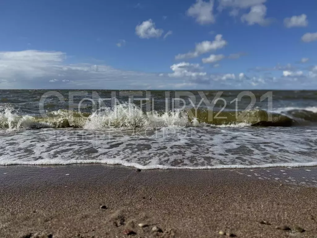 Участок в Калининградская область, Мамоновский городской округ, пос. ... - Фото 2