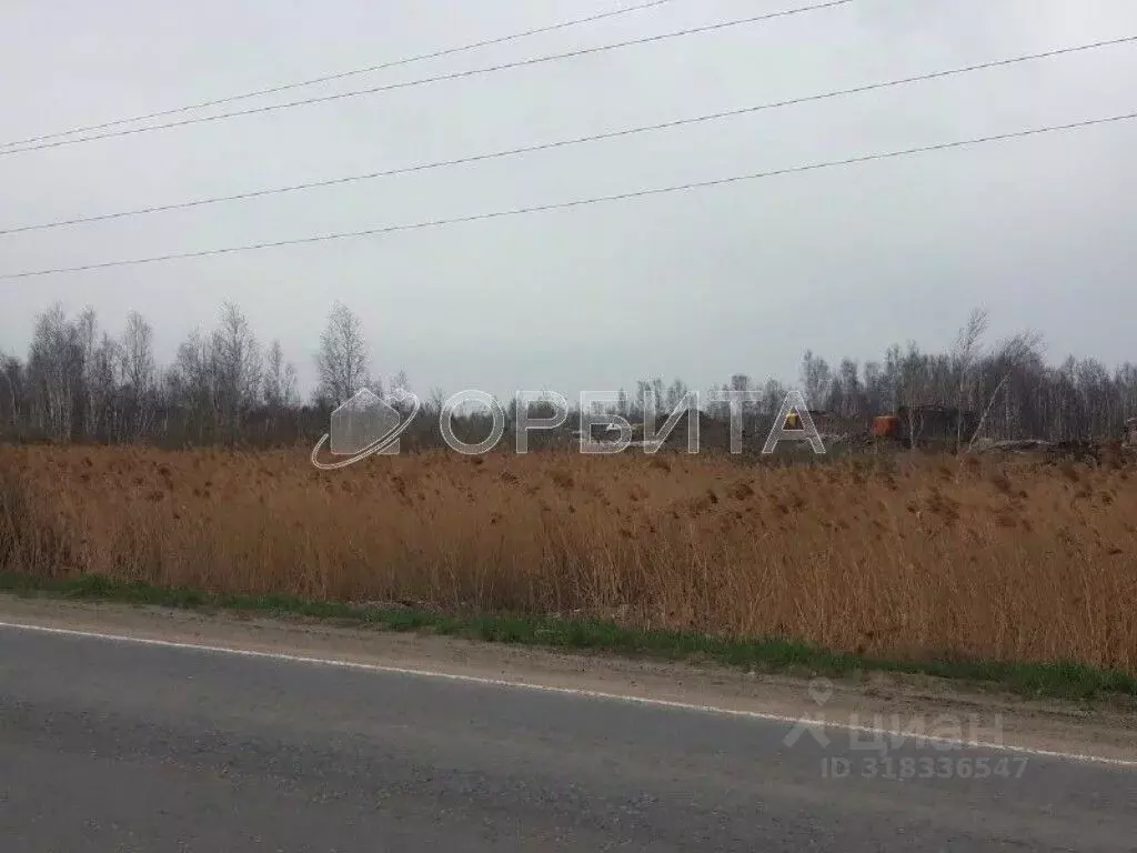 Участок в Тюменская область, Тюмень Велижанский тракт, 9-й км (129.05 ... - Фото 1