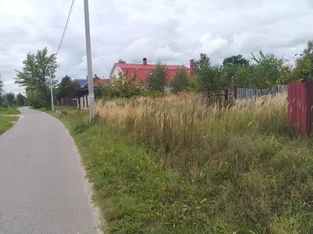 Участок в Московская область, Орехово-Зуевский городской округ, д. ... - Фото 2