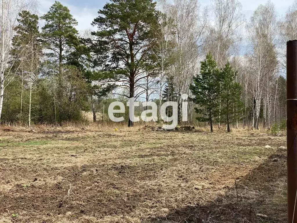 Участок в Красноярский край, Емельяново городское поселение, д. Крутая ... - Фото 0