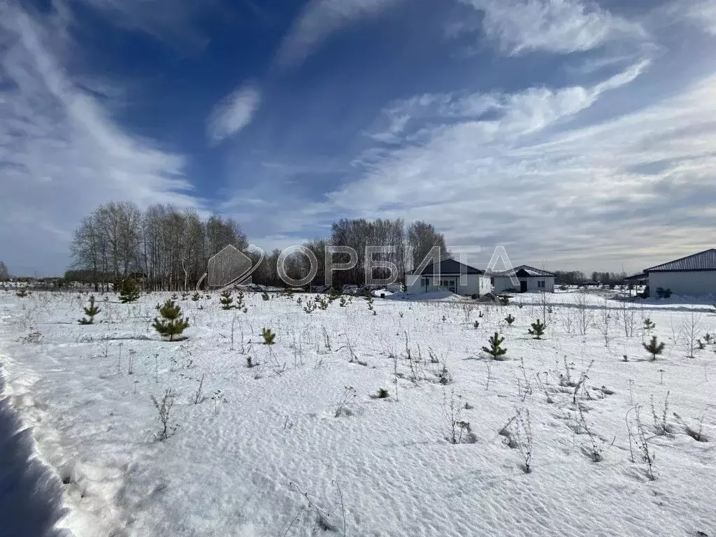 Участок в Тюменская область, Тюменский район, Новокаменский кп ул. ... - Фото 1