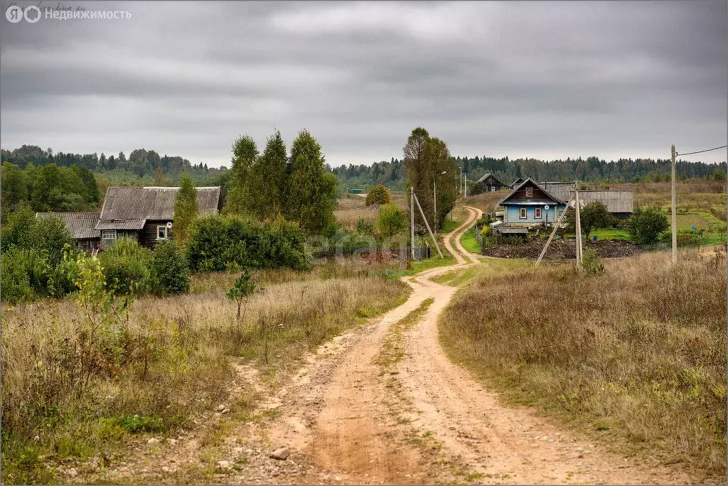 Участок в Костромской район, Кузнецовское сельское поселение, деревня ... - Фото 1