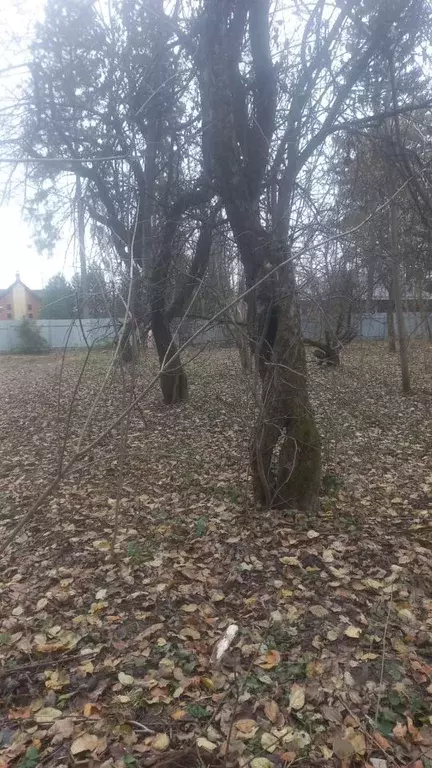 Участок в Московская область, Апрелевка Наро-Фоминский городской ... - Фото 1