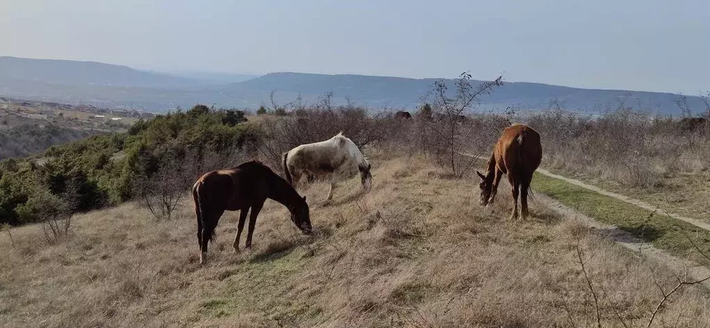 Участок в Крым, Бахчисарай 9-й мкр,  (6.0 сот.) - Фото 0