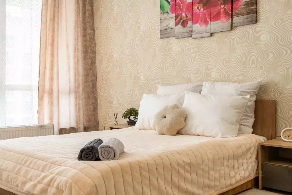 Студия Московская область, Балашиха просп. Ленина, 32а (31.0 м) - Фото 2