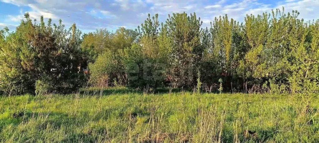 Участок в Удмуртия, Сарапул Центральный жилрайон, ул. Дубровская (7.2 ... - Фото 1