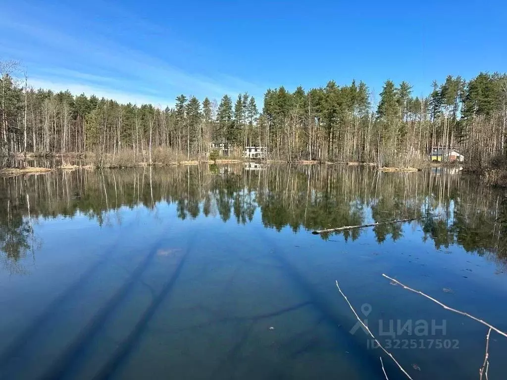 Участок в Ленинградская область, Всеволожский район, Свердловское ... - Фото 2