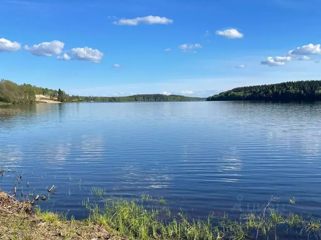 Участок в Ленинградская область, Выборгский район, Полянское с/пос, ... - Фото 1