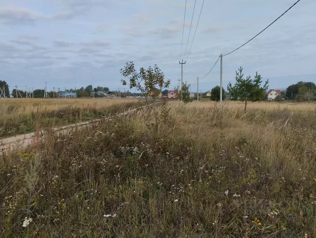 Участок в Московская область, Серпухов городской округ, с. Липицы  ... - Фото 0