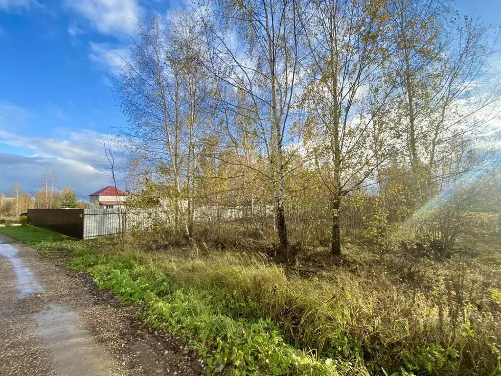 Участок в Владимирская область, Александровский муниципальный округ, ... - Фото 2