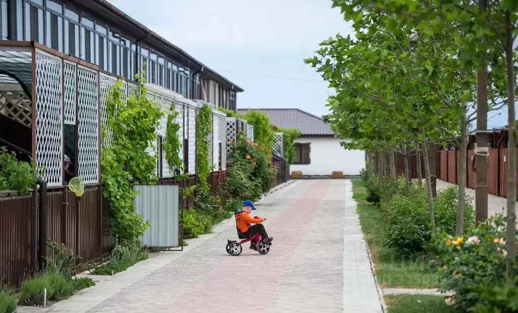 3-к кв. Крым, Сакский район, Молочненское с/пос, с. Витино ул. ... - Фото 2