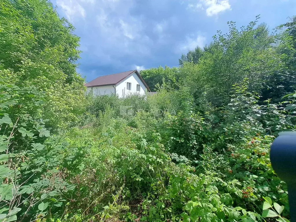 Участок 6,9 сот. (СНТ, ДНП) - Фото 0