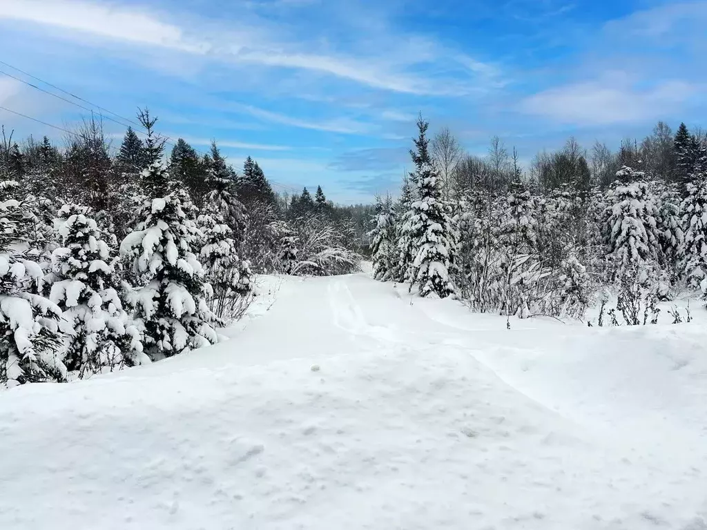 Участок в Московская область, Дмитровский муниципальный округ, ... - Фото 1