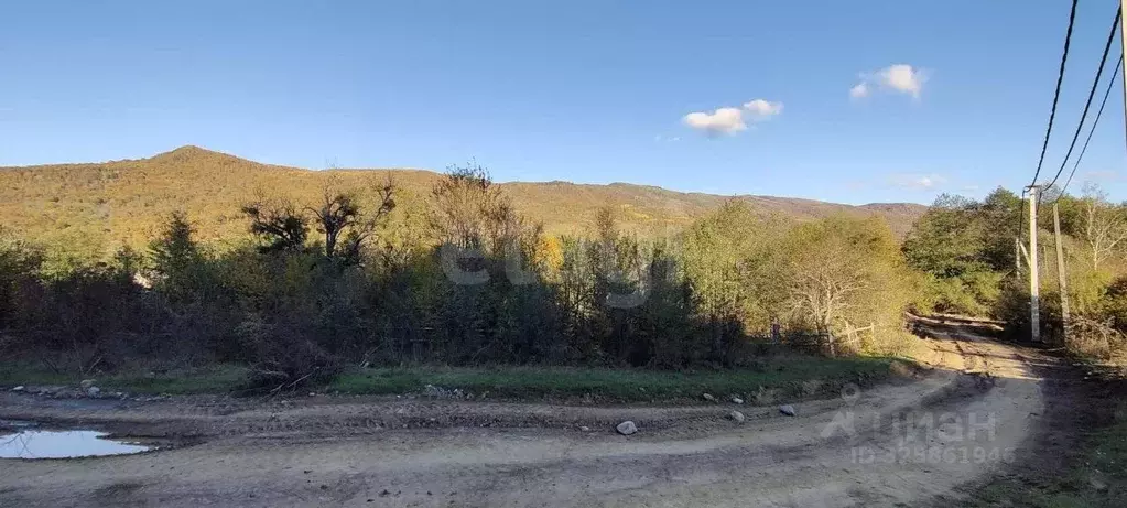 Участок в Адыгея, Майкопский район, Даховское с/пос, с. Хамышки ул. ... - Фото 1