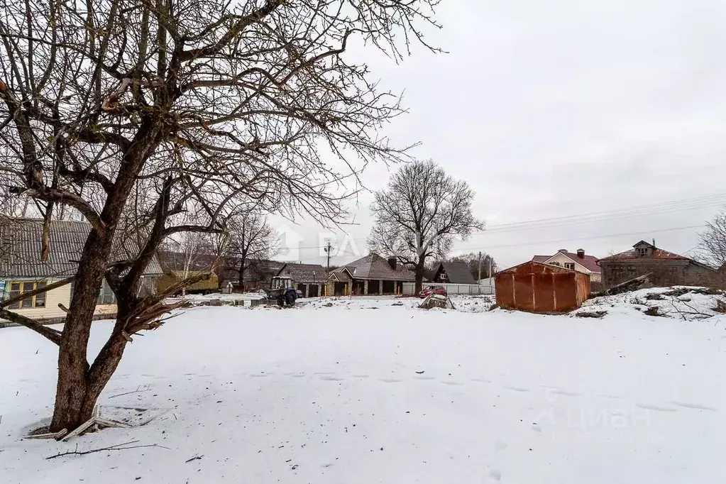 Участок в Владимирская область, Суздальский район, Новоалександровское ... - Фото 1