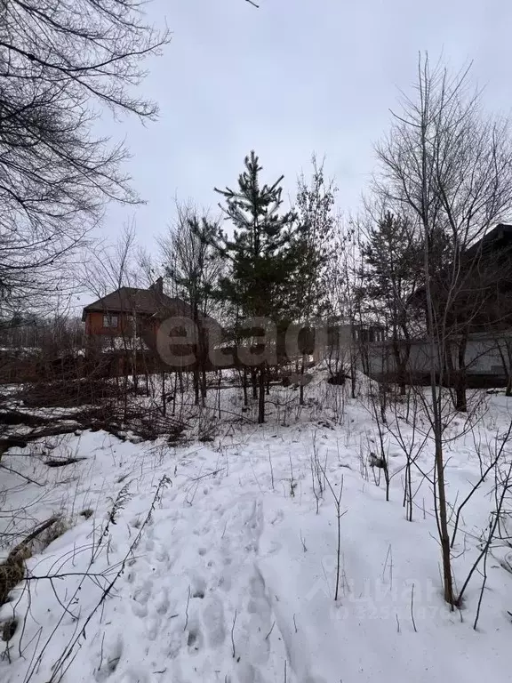 Участок в Воронежская область, Воронеж ул. Туровская (15.0 сот.) - Фото 1
