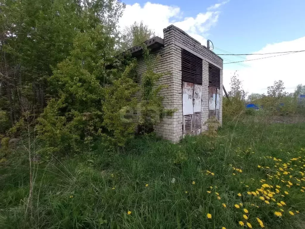 Помещение свободного назначения в Владимирская область, Петушки ... - Фото 0