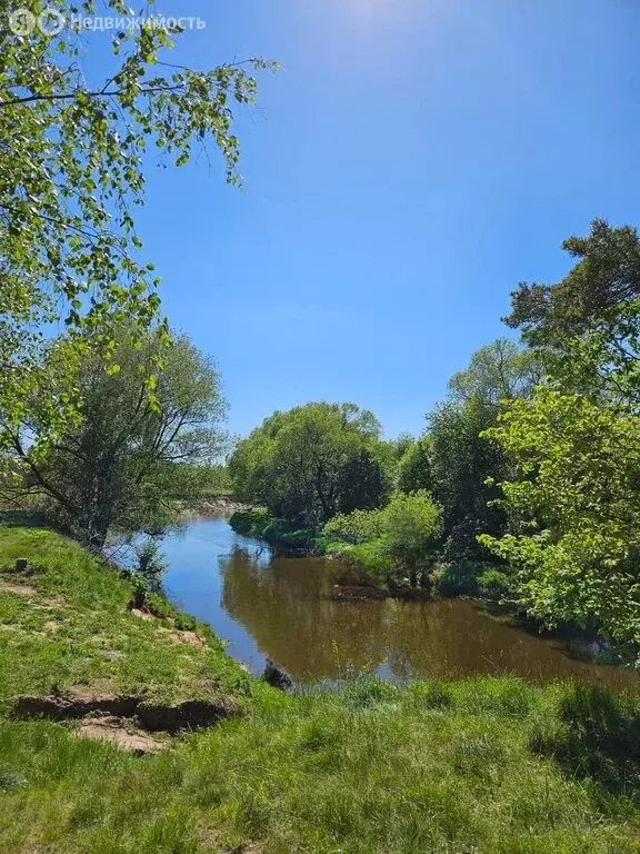Участок в Московская область, городской округ Щёлково, КП Литвиново ... - Фото 2