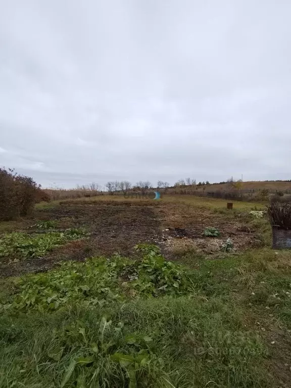 Участок в Башкортостан, Туймазинский район, Ильчимбетовский сельсовет, ... - Фото 1