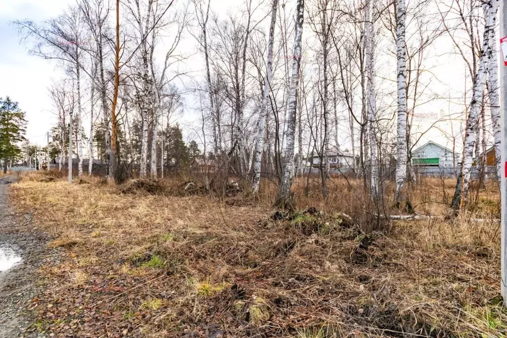 Участок в Свердловская область, Екатеринбург проезд 11-й Кианитовый ... - Фото 2