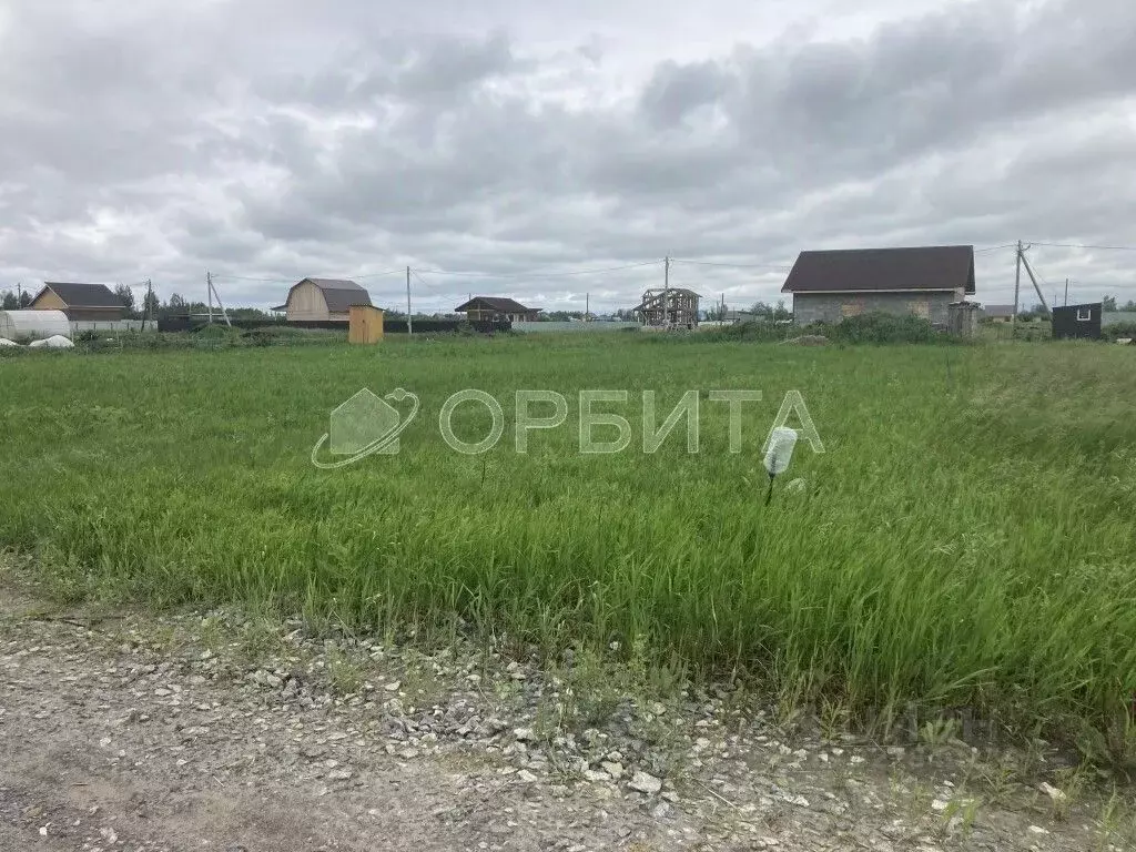 Участок в Тюменская область, Тюмень Большое Царево-1 СНТ,  (9.6 сот.) - Фото 2